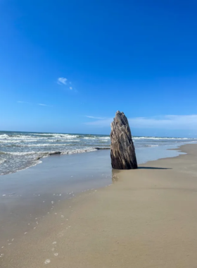 This image shows Padre Island National Seashore with its pristine sandy beaches stretching along the Gulf of Mexico. The clear blue waters and serene atmosphere make it a perfect destination for nature lovers.