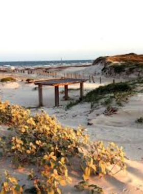 This image shows Mustang Island State Park with its 18 miles of beach, ideal for swimming, kayaking, and birdwatching. The park offers a peaceful escape with stunning ocean views and diverse wildlife.