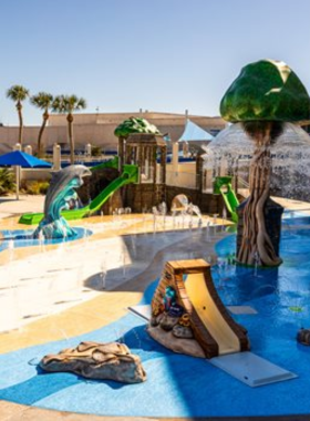  This image shows dolphins at the Texas State Aquarium in Corpus Christi. The aquarium features marine life from the Gulf of Mexico, offering interactive exhibits and educational programs for visitors of all ages.