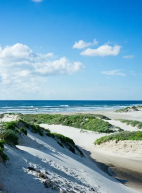  This image shows a peaceful sunset at one of Corpus Christi’s beautiful beaches, with golden sand and gentle waves. The area is perfect for relaxation, beach games, or a serene walk along the coast.