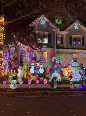 This image shows that Virginia Beach’s holiday light displays along the boardwalk create a festive and magical atmosphere, with vibrant lights decorating the area, making it a must-see attraction during the winter season.