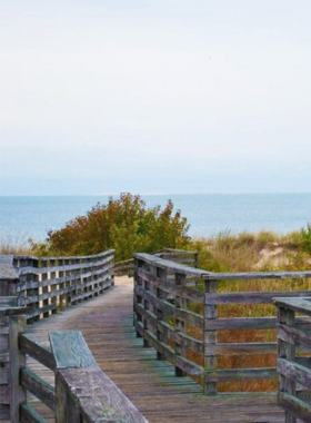 This image shows that False Cape State Park offers a secluded escape with pristine beaches, hiking trails, and abundant wildlife, providing a peaceful retreat for nature lovers seeking an off-the-beaten-path experience.