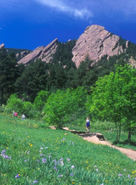 "This image shows the scenic beauty of Chautauqua Park in Boulder, featuring lush meadows, forested trails, and stunning mountain views. Visitors can be seen enjoying peaceful hikes, picnics, and cultural events, embracing the park’s natural charm and historic significance."