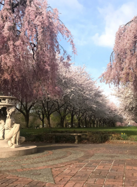 This image shows the scenic Fairmount Park in Philadelphia, where visitors can enjoy outdoor activities like hiking and biking. The park offers a peaceful escape with beautiful nature trails, historic sites, and attractions like the Shofuso Japanese House and Garden.