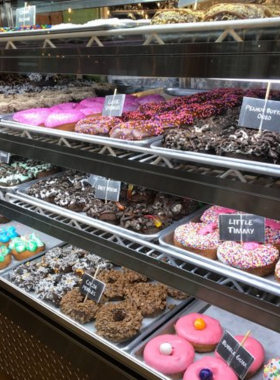 This image shows a variety of colorful and creatively designed donuts displayed at Hurts Donut shop, showcasing unique flavors and toppings in a fun setting.