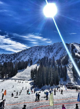 This image shows the snowy slopes of Mount Rose Ski Resort, located near Reno. The resort offers diverse skiing and snowboarding opportunities, with breathtaking views of the surrounding mountains. It's a favorite winter destination for visitors looking to enjoy outdoor adventure in a beautiful setting.