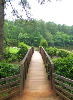 This image shows a peaceful walking trail in William B. Umstead State Park, surrounded by dense trees and nature, offering a serene outdoor escape.