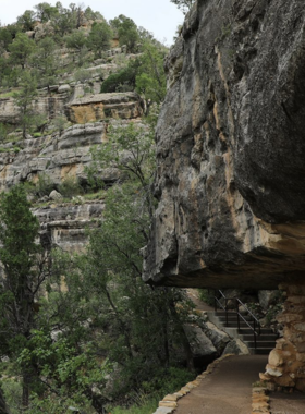 This image shows the ancient cliff dwellings of Walnut Canyon, nestled into rugged canyon walls, surrounded by lush greenery and rocky terrain.