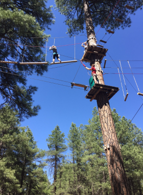 This image shows participants navigating a high ropes course at Flagstaff Extreme, with towering pine trees and safety harnesses in use.