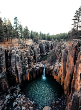 This image shows the breathtaking landscape of Coconino National Forest, featuring dense green pine trees, red rock formations, and open skies.
