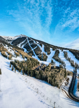 This image shows skiers descending snowy slopes at Arizona Snowbowl, surrounded by snow-covered trees and a clear blue sky.