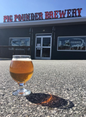 This image shows the tasting area at Pig Pounder Brewery, a local craft brewery in Greensboro where visitors can enjoy a variety of unique, freshly brewed beers in a relaxed, friendly atmosphere.