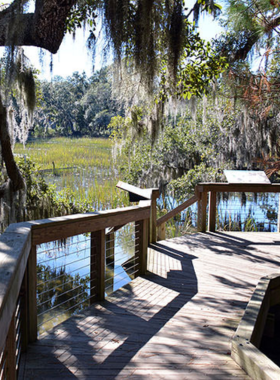 This image shows the butterfly garden at the Coastal Discovery Museum, featuring blooming flowers and colorful butterflies in a serene setting.