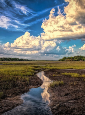 This image shows the scenic trails of Pinckney Island National Wildlife Refuge, surrounded by wetlands and native wildlife habitats.