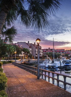 This image shows the lively atmosphere of Shelter Cove with shops, restaurants, and a marina filled with boats under a clear sky.

