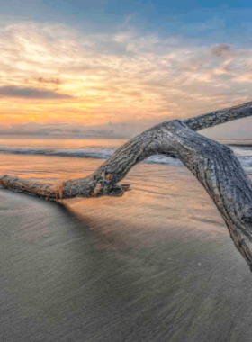 This image shows Mitchelville Beach at low tide, with exposed tide pools, calm waters, and a peaceful environment for reflection.

