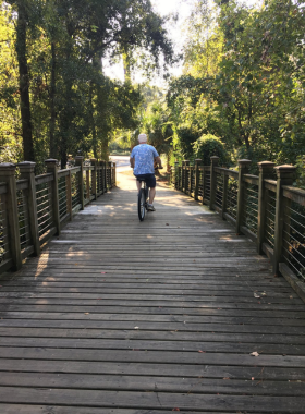 This image shows cyclists riding along a scenic Hilton Head bike trail, surrounded by lush greenery and a clear path.