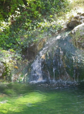  This image shows the scenic hiking trails in Hot Springs National Park, surrounded by lush greenery and offering stunning views of the Ouachita Mountains. Visitors can enjoy both nature and history in this vast park.