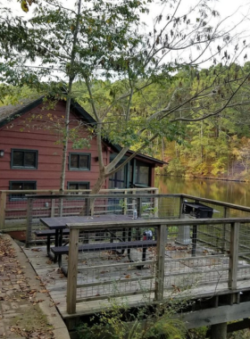 This image shows the serene Falls Branch Trail at Lake Catherine State Park, leading to a picturesque waterfall, offering a peaceful nature walk amidst the Ouachita Mountains.