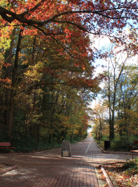 This image shows a peaceful walk along the Grand Promenade in Hot Springs National Park, with scenic views, moss-covered rocks, and the beautiful Hot Water Cascade.

