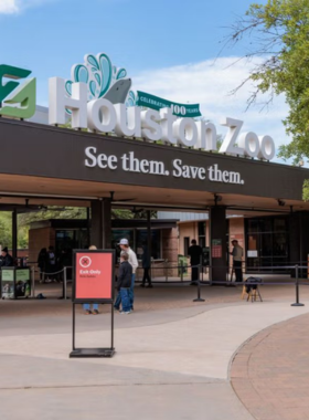 This image shows visitors feeding giraffes at the Houston Zoo, one of the most visited zoos in the U.S. The zoo offers interactive animal exhibits, educational programs, and exciting experiences for families and animal lovers.