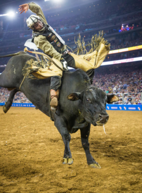 This image shows the vibrant atmosphere of the Houston Livestock Show and Rodeo, with rodeo competitions, live music, carnival rides, and exhibitions. It's a lively event that highlights Texan culture and attracts visitors from around the world.