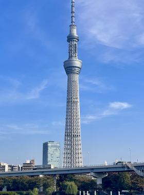 This image shows Tokyo Skytree illuminated at night, standing tall against a starry sky. The glowing tower highlights its modern architecture, offering visitors a panoramic view of the bustling city from its observation deck.