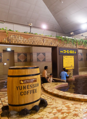 This image shows the relaxing Hakone hot springs baths, surrounded by serene mountains and natural landscapes. Visitors soak in the therapeutic waters, enjoying the tranquil atmosphere and traditional Japanese onsen culture.