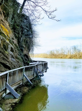 This image shows the peaceful hiking trails at Ijams Nature Center, where visitors can enjoy the natural beauty of East Tennessee. Lush greenery, tall trees, and scenic views make it an ideal spot for outdoor adventures and nature walks.

