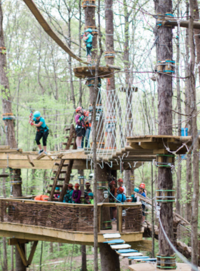 This image shows visitors ziplining at Navitat Knoxville, an adventure park located in Ijams Nature Center. The zipline trails offer an exciting and scenic way to experience the beauty of the Smoky Mountains and surrounding forest.