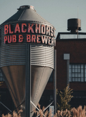  This image shows a group of friends enjoying a craft beer tasting at one of Knoxville’s local breweries. The vibrant atmosphere and unique beers reflect Knoxville’s growing craft beer scene, with several breweries offering diverse and flavorful options.