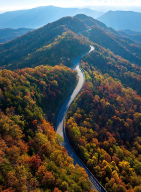  This image shows the stunning views from the Foothills Parkway, where visitors can enjoy scenic drives through the Appalachian Mountains. The road offers panoramic views of valleys, ridges, and forests, especially beautiful during the fall season.