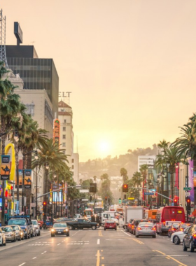 This image shows Sunset Boulevard illuminated with neon lights and lined with historic landmarks, offering a vibrant Hollywood experience.

