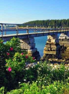 This image shows a scenic drive along Maine's Coastal Route, with stunning views of rocky cliffs, the Atlantic Ocean, and charming seaside towns, perfect for a leisurely road trip.