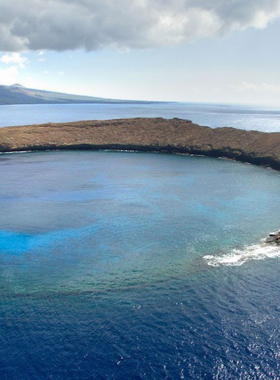 This image shows a group of snorkelers exploring the clear, calm waters of Molokini Crater. The vibrant coral reefs and diverse marine life, including colorful tropical fish, are visible beneath the surface, offering an unforgettable underwater experience.