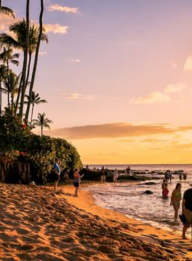 This image shows the charming streets of Lahaina, a historic town in Maui. The photo highlights the town’s colorful shops, historic buildings, and the iconic Banyan Tree, providing a glimpse of the area’s rich cultural and architectural heritage.

