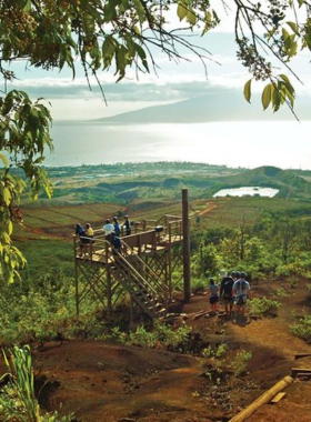 This image shows an adventurer soaring above the lush landscape of Ka'anapali during a thrilling zipline ride. The view captures expansive valleys and vibrant greenery as the participant experiences an adrenaline-filled adventure above Maui’s natural beauty.