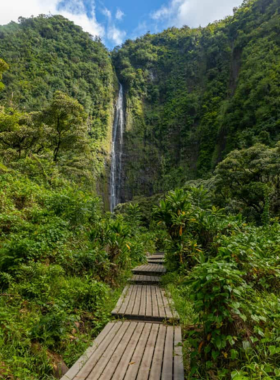 This image shows a hiker on the Pipiwai Trail, surrounded by towering bamboo forests and lush greenery. The trail leads to scenic viewpoints and waterfalls, offering a beautiful and immersive experience in the natural landscapes of Maui.