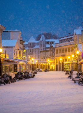 This image shows a breathtaking view of Mackinac Island, with lush greenery, historic buildings, and the sparkling waters of Lake Huron, capturing the island’s natural beauty and charm.