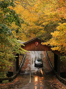 This image shows a scenic drive along Highway M-22, with vibrant autumn colors, rolling hills, and panoramic views of Lake Michigan, inviting travelers to explore Michigan’s western coastline.