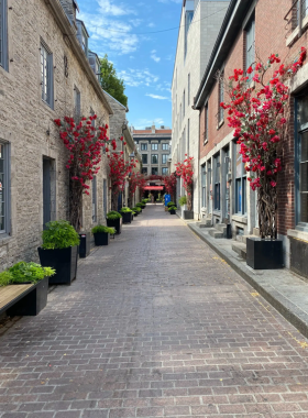  This image shows the cobblestone streets of Old Montreal with historic buildings lining the roads. Visitors can explore boutiques, cafes, and charming architecture that reflect the city’s colonial past.

