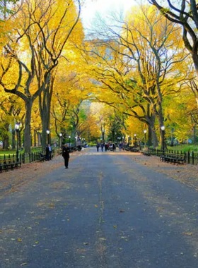  This image shows Central Park's lush green lawns and serene lakes, providing a peaceful retreat from the hustle and bustle of New York City. Visitors can enjoy biking, boating, and relaxing in nature, offering a tranquil escape in the heart of the city.