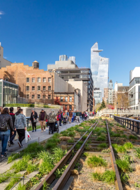 This image shows the beautifully landscaped gardens along The High Line, a unique elevated park in Manhattan. Visitors can stroll along pathways lined with greenery, art installations, and scenic views, making it a peaceful urban escape with modern design.