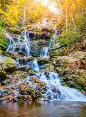 This image shows a waterfall within Pisgah National Forest, a breathtaking spot for outdoor enthusiasts to explore hiking trails and enjoy nature in the Blue Ridge Mountains.