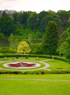 This image shows that High Park is home to beautiful cherry blossoms in the spring, along with lush greenery, walking trails, and a small zoo, making it a perfect place to relax and enjoy nature.