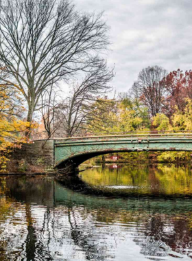 This image shows that Prospect Park in Brooklyn is a serene green space offering cycling, picnicking, and nature exploration, complete with the Prospect Park Zoo and the beautiful Lullwater Bridge.