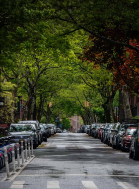 This image shows that BoCoCa, the combination of Boerum Hill, Cobble Hill, and Carroll Gardens, features tree-lined streets, charming brownstones, and historic architecture, offering a peaceful, picturesque walk through Brooklyn’s past.