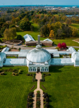 This image shows the lush greenery and tropical plants within the Buffalo and Erie County Botanical Gardens, offering a peaceful escape with vibrant flowers and beautiful natural surroundings.