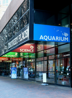 This image shows a visitor interacting with a hands-on science exhibit at Discovery Place Science in Charlotte. Children and adults alike are engaged in learning about physics, biology, and space science through interactive displays and demonstrations.