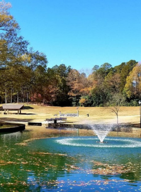 This image shows a tranquil view of the lake at Freedom Park in Charlotte. The peaceful setting is perfect for walking, picnicking, or simply relaxing, with the greenery and water creating a serene natural environment in the heart of the city.